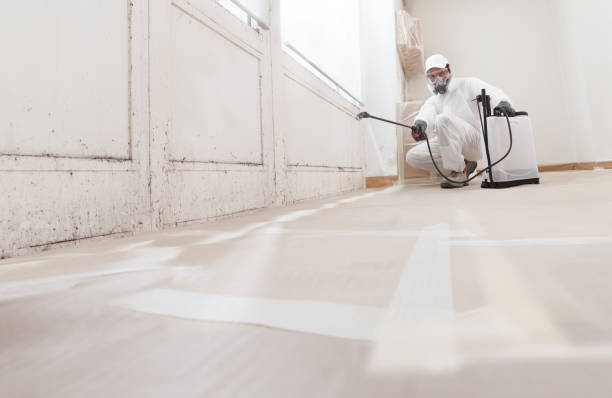 24/7 Emergency Attic Mold Removal experts in Ashville, PA