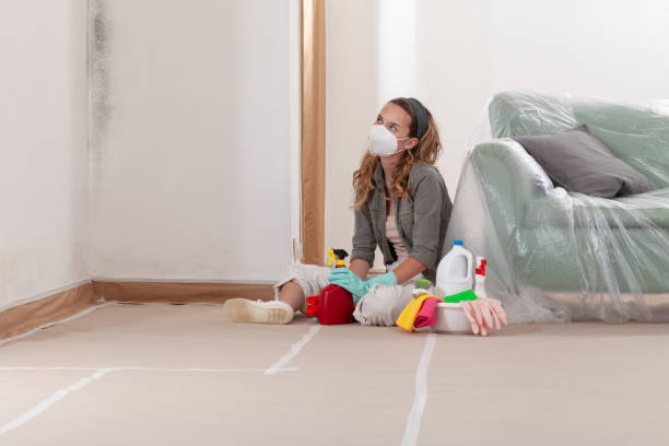 Trusted Attic Mold Removal service in Ashville, PA - Cheap Mold Removal